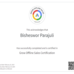 Offline Slaes Google