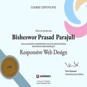 WEB DESIGN CERTIFICATE